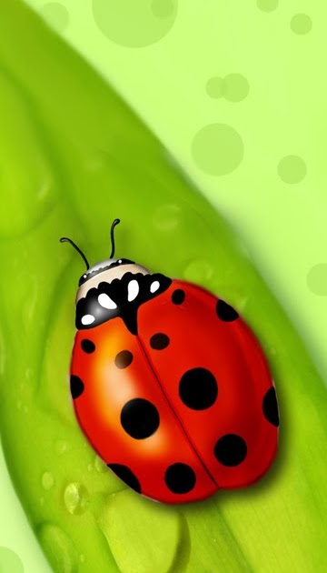 Njemačka stranica za mobitele njemačka stranica za mobitele