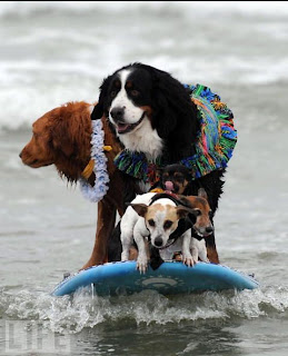 Looking a little crowded there.