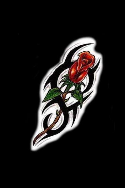 Tattoo Sketches | Tattoos Rose rose of jericho tattoo. Tattoo Sketches | Tattoos Rose