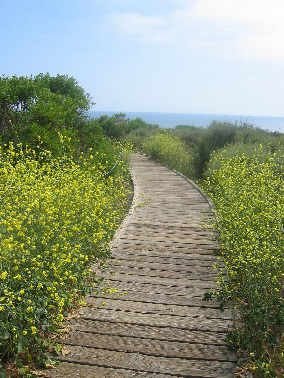 [Philly+May+2006+&+LA+117.jpg]