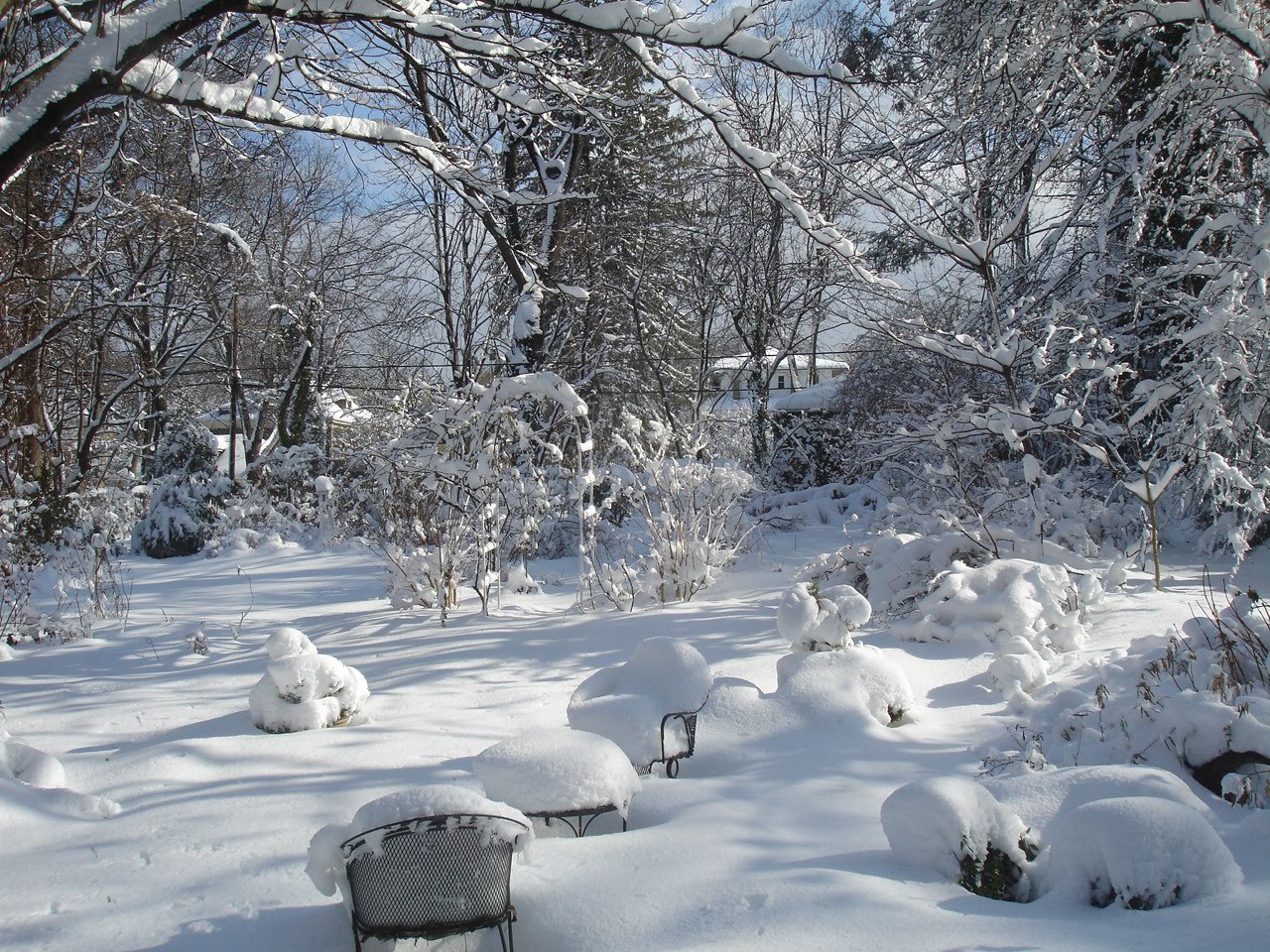 Friday, January 28, 2011