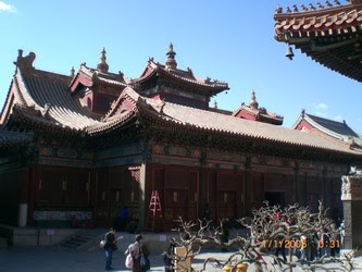 [CIMG5809_resize-779831.JPG]