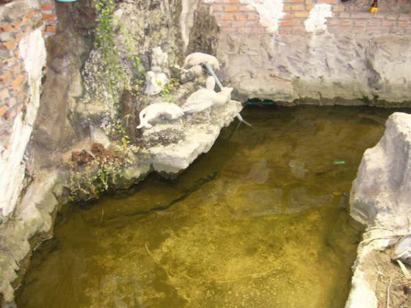 [=?windows-874?B?zsenqNjpwrrYw9XD0cHC7DQ5NC5qcGd=?=-780952]