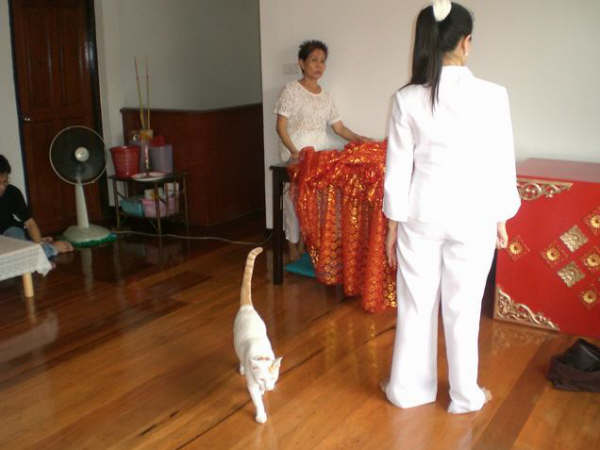 [=?windows-874?B?u9GhodTopyC+0bfC0jYyLmpwZw==?=-795778]