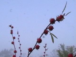 [=?windows-874?B?vti3uNLA1ODJoSAgodSoocPDwTI4MjYuanBn?=-720392]