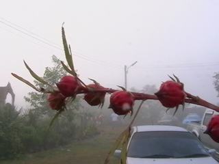 [=?windows-874?B?vti3uNLA1ODJoSAgodSoocPDwTI4MjcuanBn?=-720731]