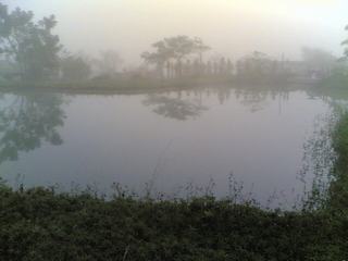 [=?windows-874?B?vti3uNLA1ODJoSAgodSoocPDwTI3NDUuanBn?=-757574]