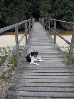 Our Beagle companion on the long hike back to Abraao village.