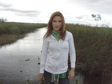 Desde los Everglades de la Florida