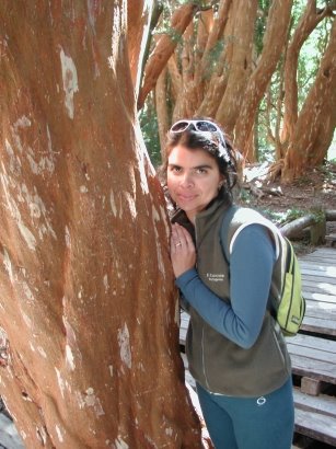 [angos-array-dri.jpg]