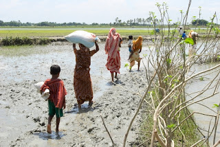 Women and their children walking back home through muddy fields after receiving relief packages form Concern, Madargonj, Jamalpur. Photo: Kiron Map/Concern Aug 07