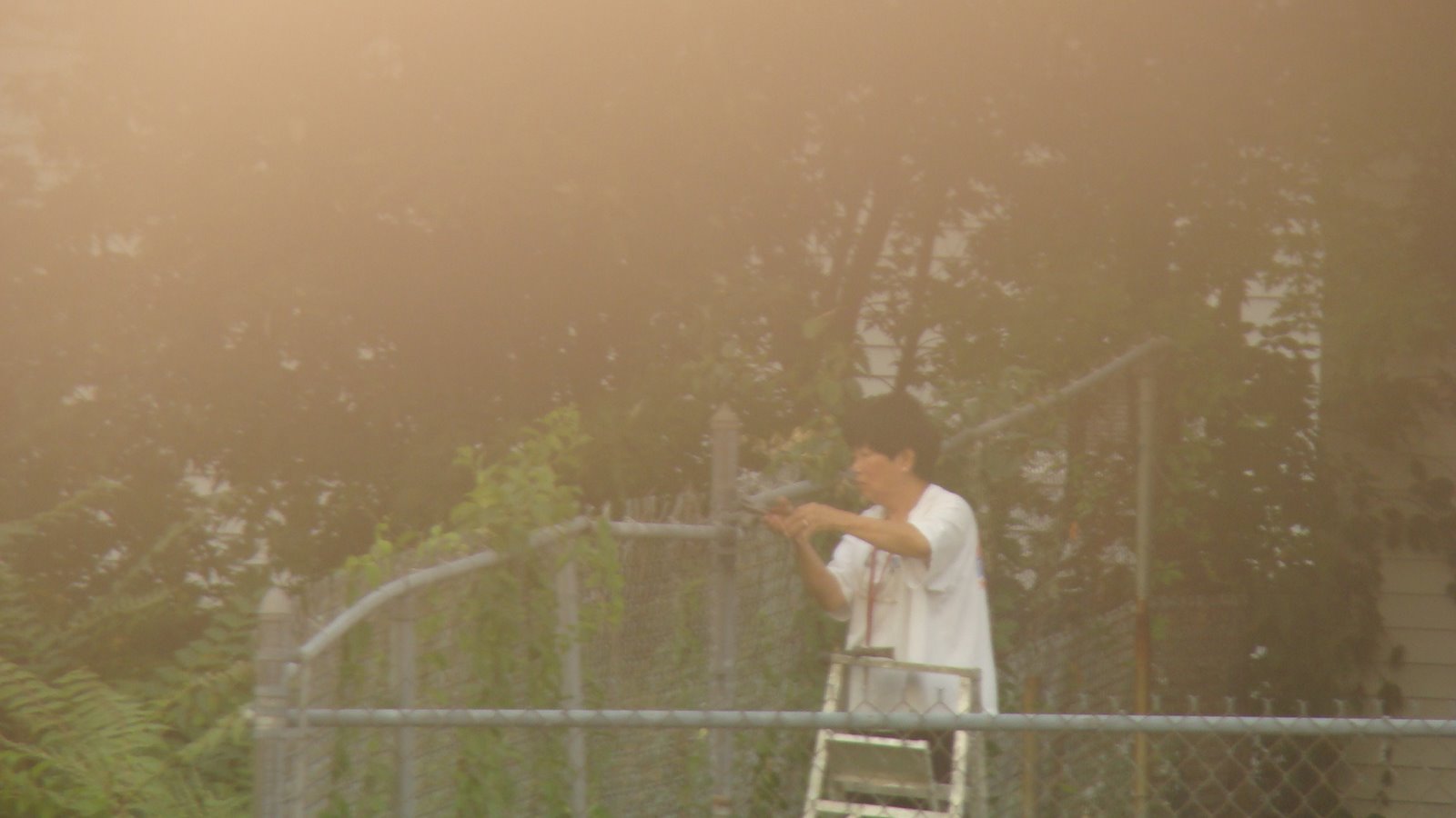 [DSC00353.JPG]