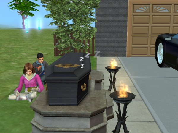 [snapshot_d725861d_17289106.jpg]