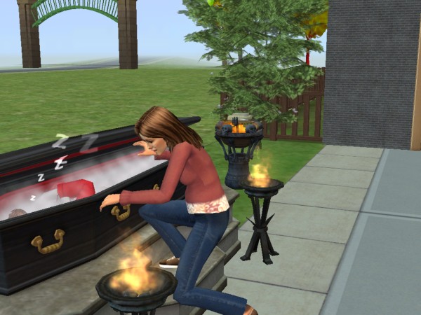 [snapshot_d725861d_b72ee76f.jpg]