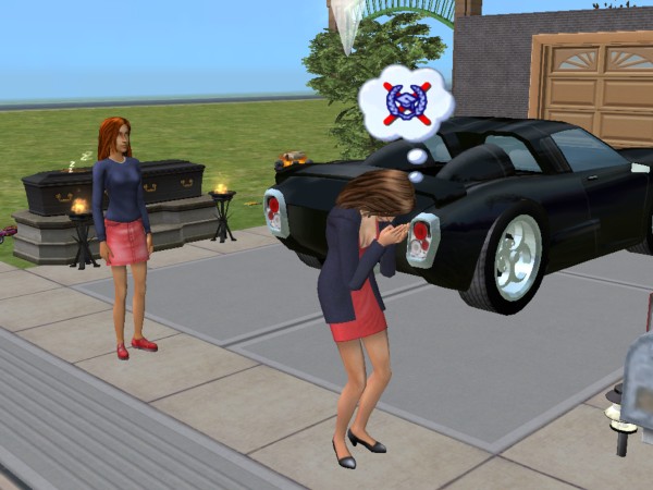 [snapshot_d725861d_f7318359.jpg]