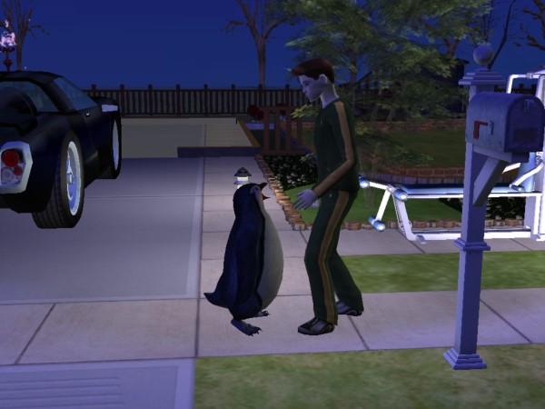 [snapshot_d725861d_d7317761.jpg]