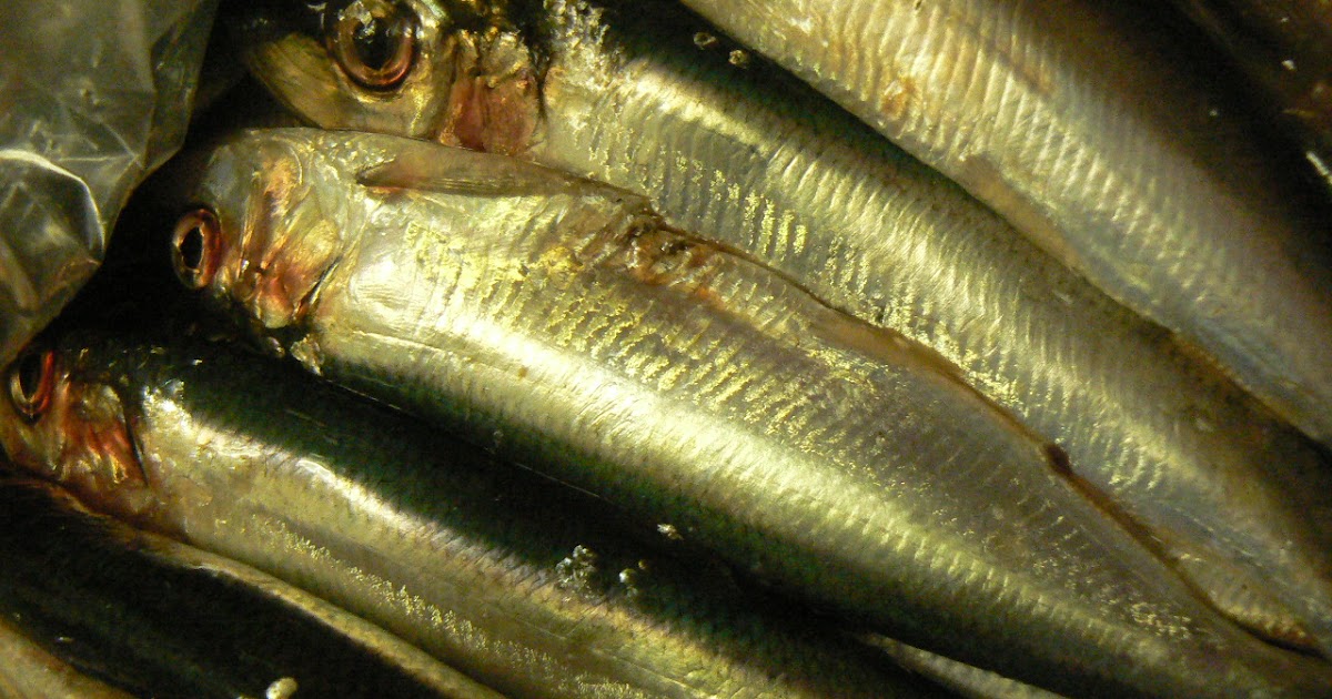 Russian food and recipes from all over the world Sardines in tomato