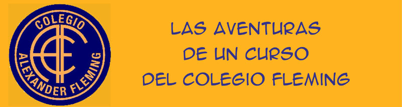 Un curso del Colegio Fleming