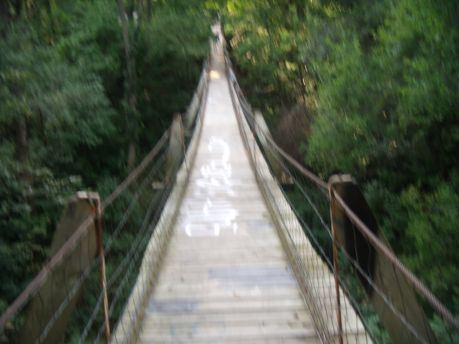 Nostalgic Nancy Swinging Bridge In Columbus Junction Iowa