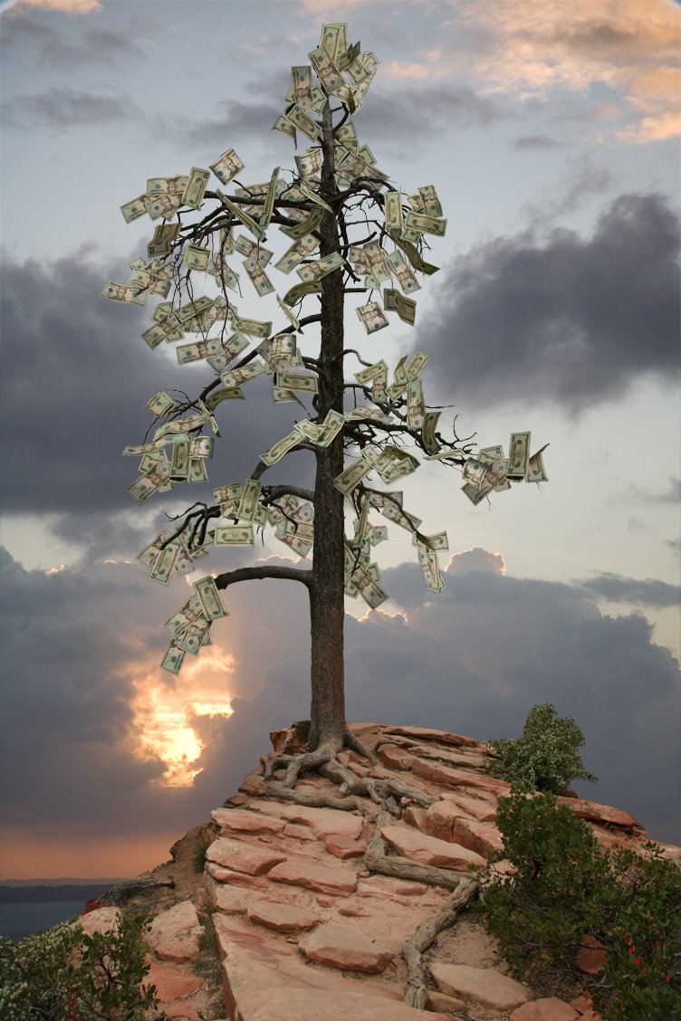 [Perfect+World2.jpg]