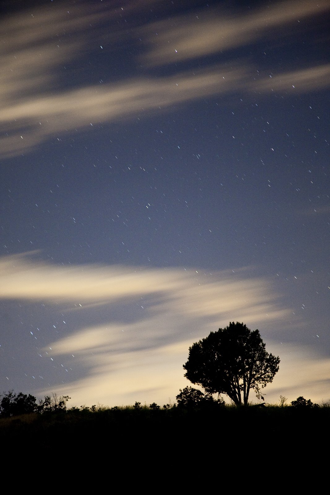 [Canyon+night+3.jpg]