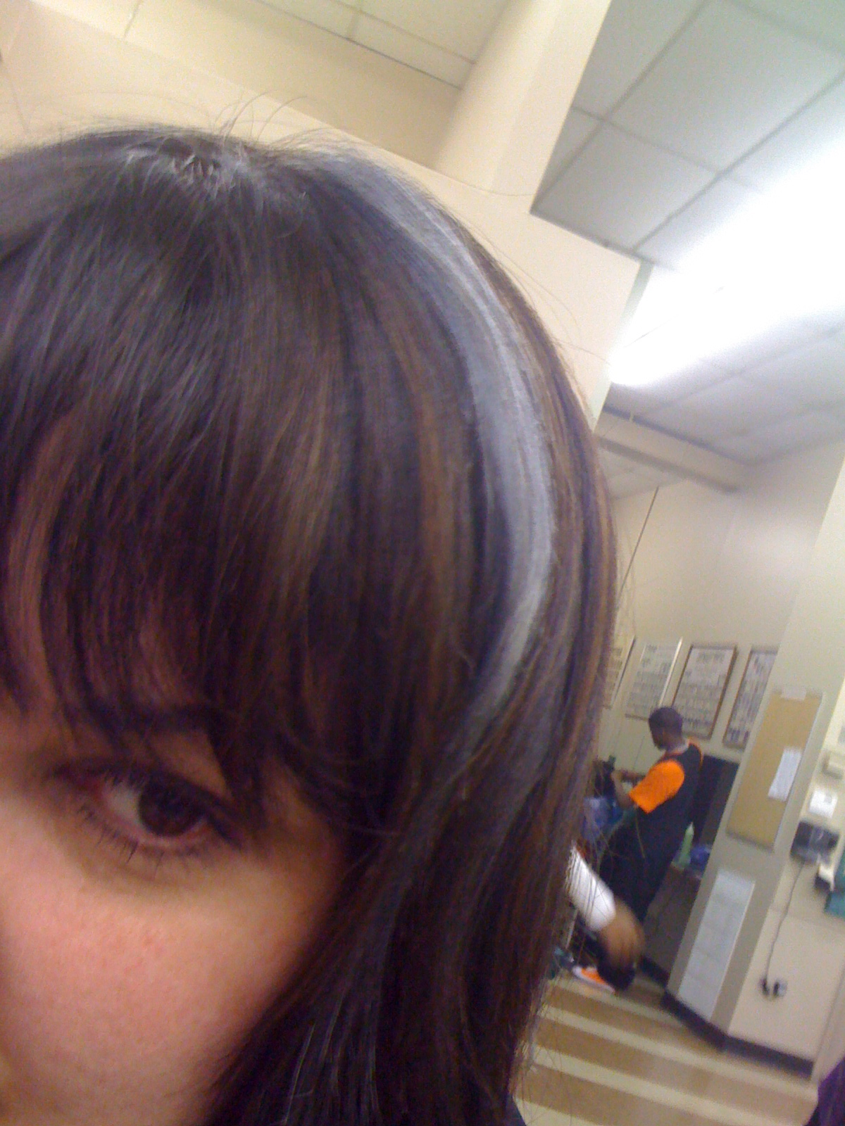 http://2.bp.blogspot.com/_6voKvzzm_78/S8dp2SLPmdI/AAAAAAAAALs/uT68Hbwx2vo/s1600/Gray%252Bstreak.jpg