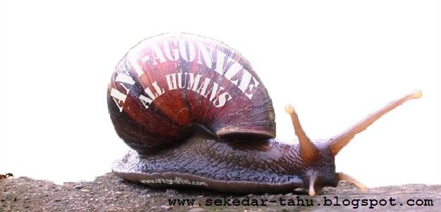 http://2.bp.blogspot.com/_6wWAvMOB4eQ/TMUDu3NnDDI/AAAAAAAAC30/UFI8R7_BInY/s1600/2.JPG