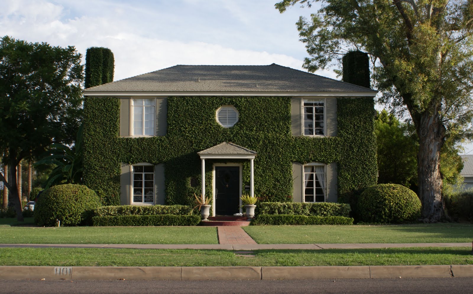 house vines