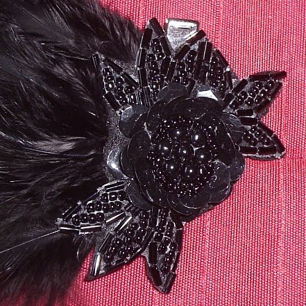 [feathered+detail.JPG]