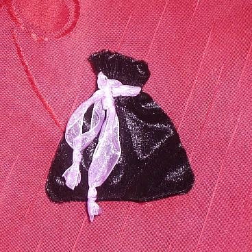 [Pinka+saca+fechada.JPG]