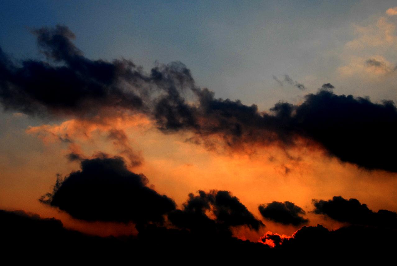 [DSC_5912.JPG]