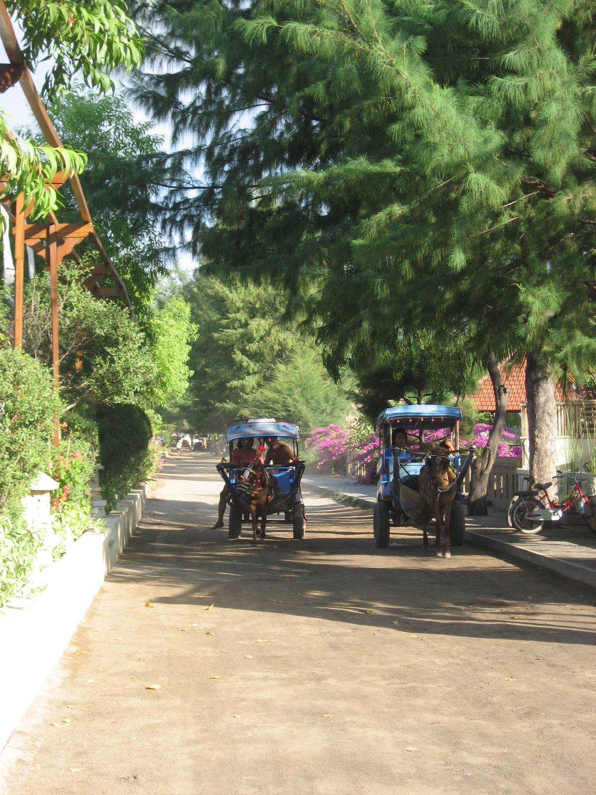 [IMG_2425.JPG]