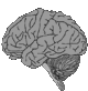 [brain.gif]