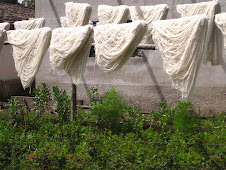 Wool drying en Peguche, Ecuador