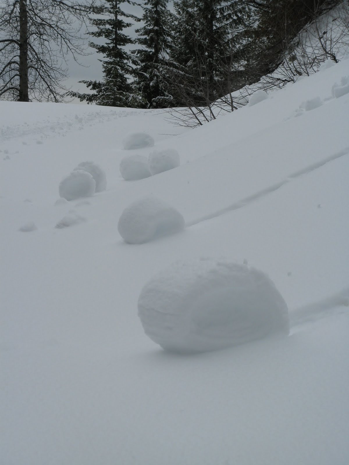 Travel Journal April 2010