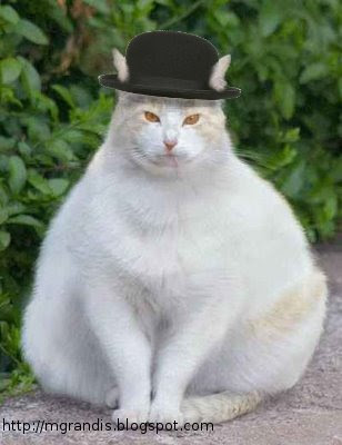 fat cat banker