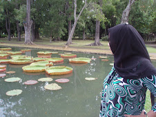 Giant Water Lily - Mauritius September 2007