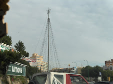 A Christmas Tree Of Lights by Porto Pi