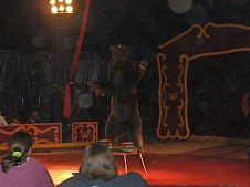 The dancing woozy bear at the circus Nov 22/08