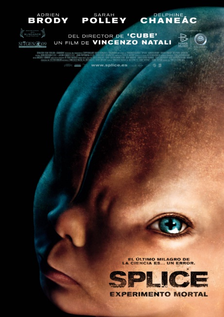 cinedirecto.net