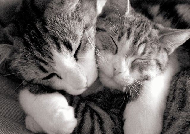 Appreciating My Day Archive Page 38 Abraham Hicks Discussion