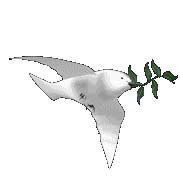 THE DOVE OF PEACE