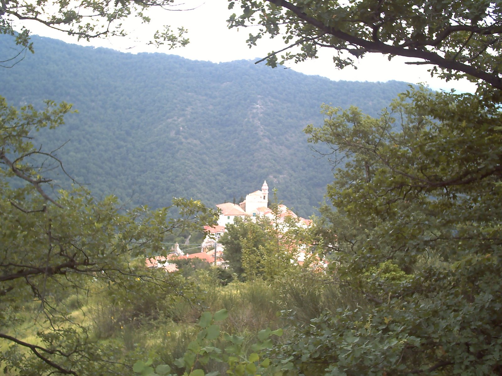 [PICT0015.JPG]