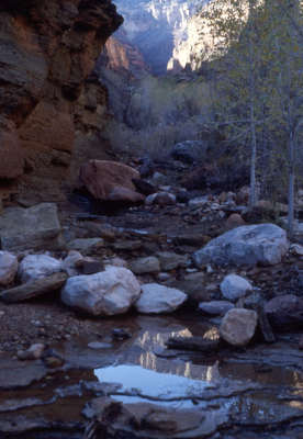 [reflection+in+slate+creek.png]