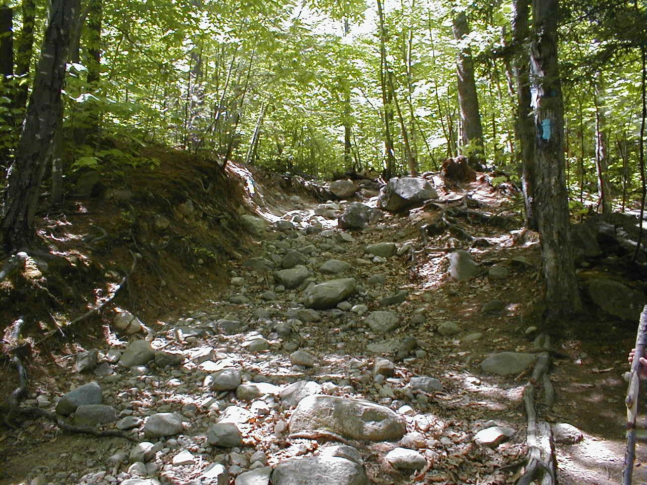 [mt+major+trail.htm]