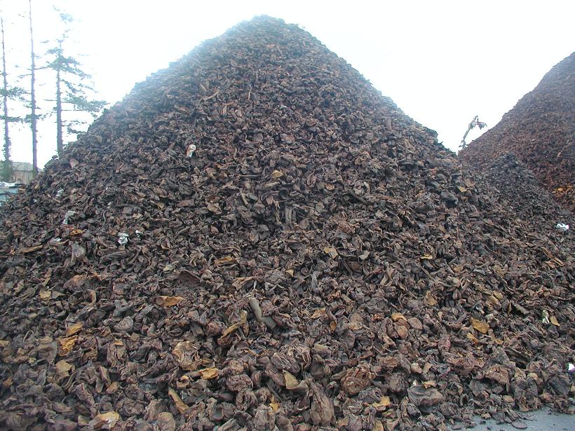 Scrap Incinerated Shredded Scrap E46