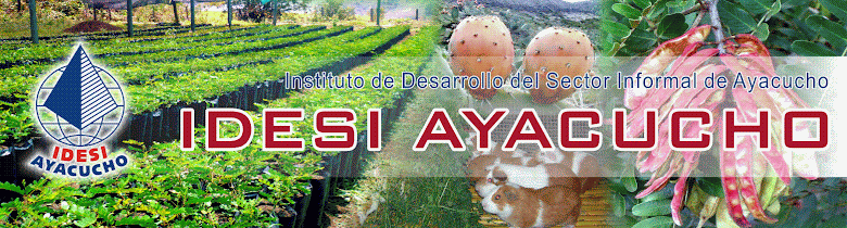 Publicaciones IDESI Ayacucho