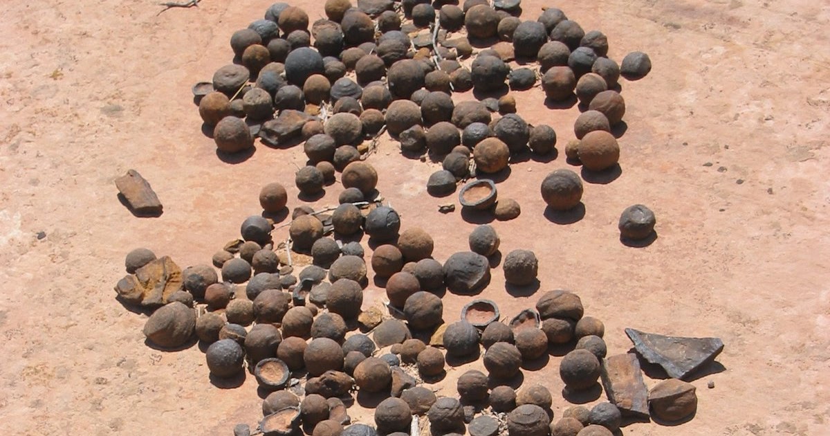 Green Fork Utah Utah "Blueberries" Discovered on Mars