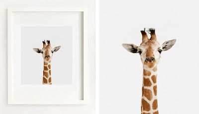 Baby Giraffe Commercial