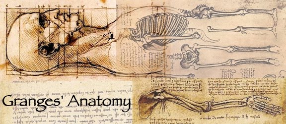 Granges Anatomy